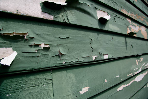 Best Siding Removal and Disposal  in Middle Valley, TN